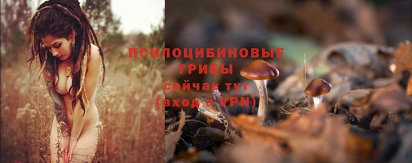 ешки Алексин