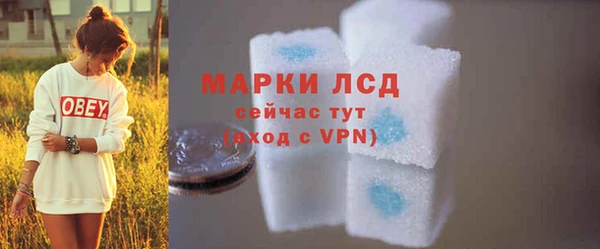 гидра Надым