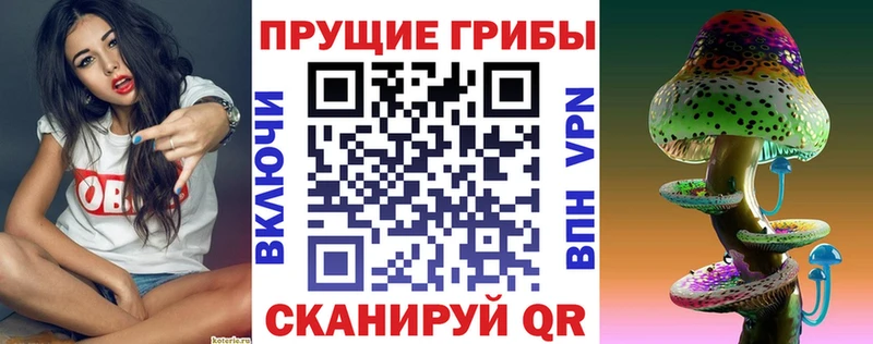 Галлюциногенные грибы GOLDEN TEACHER  купить закладку  omg как войти  Малаховка 